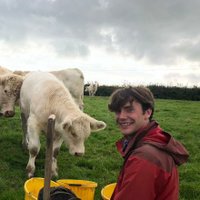 Alex Bebbington (@_alexbebbington) 's Twitter Profile