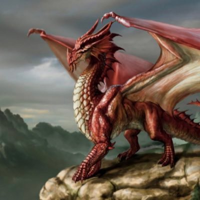 PCPDragons's profile picture. Year 6 at Prescot Primary School.