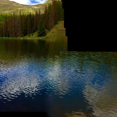 carol92674029's profile picture. 