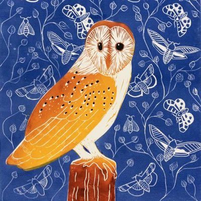 Year 2 Owl Class @DeltaNorbridge | Learning is a hoot!🦉