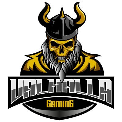 Comp R6 team
There are currently two teams within Vg, A and B.
IGL/Founder: Odin
Coach: Harvey ||
Captain: Cloudz
Social Manager: Viper3