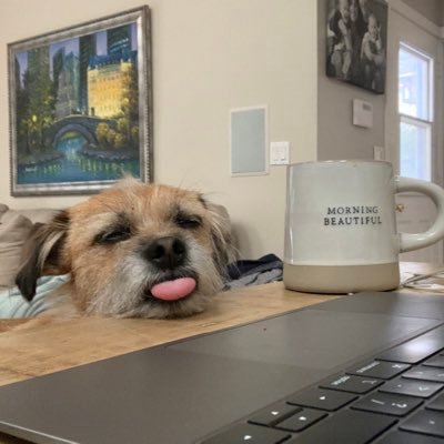 SamSamDorf's profile picture. Raising 2 boys 2 be strong, mindful & check their privilege. Advocate for common sense. Believer in science. Lover of all things cheese. ❤️is❤️