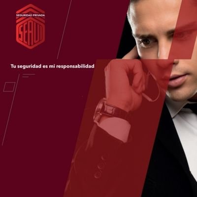 PrivadaSeavi's profile picture. Empresa mexicana, con personal de más de 10 años de experiencia, en las áreas de seguridad personal, intramuros, custodias y patrullaje.