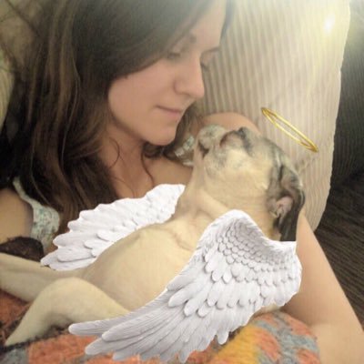 My pug is my best friend. Artist of https://t.co/87Ha5gi8t8