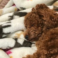 限界突破🐇 (@664wm) 's Twitter Profile