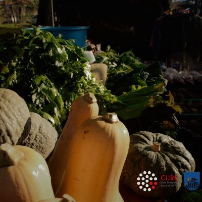 Somos un grupo universitario de la Licenciatura en Gestión Ambiental, estudiando el impacto de la COVID-19 sobre el sistema alimentario y la sustentabilidad.