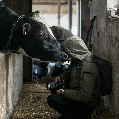 📷 Animal photographer - revealing the truth behind factory farm walls | #animalrights