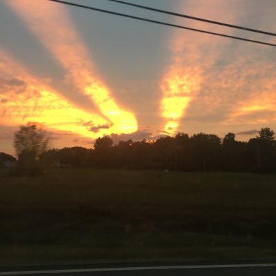 aurora77712's profile picture. 