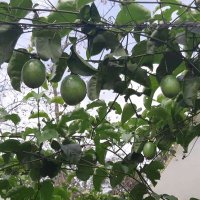 Marcos Torres (@marcostorresbe) 's Twitter Profile Photo