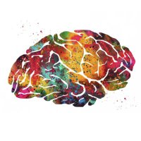 MUSC Neurology(@MuscNeurology) 's Twitter Profile Photo