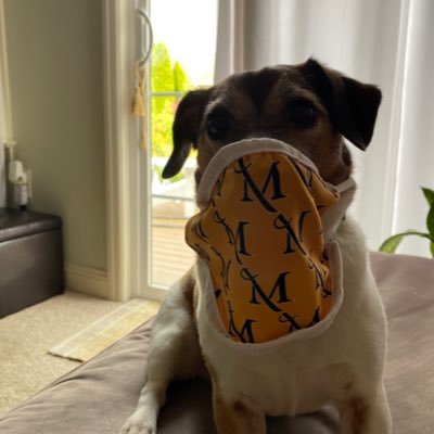 coachsbehrens's profile picture. Millersville Field Hockey Coach, Go Marauders! We are not done yet! Camps & Clinics https://t.co/AS3efwcvMb  https://t.co/5pxUwkCIzE