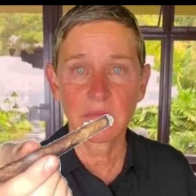 whydidimakeapt's profile picture. 