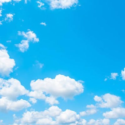 MarciaC62818008's profile picture. 