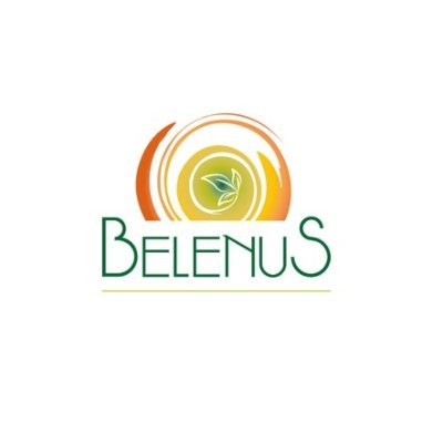 BELENUS is a research project that receives funding from the European Union's H2020 R&I programme and aims at lowering bioenergy CAPEX and OPEX by 1.03% and 40%