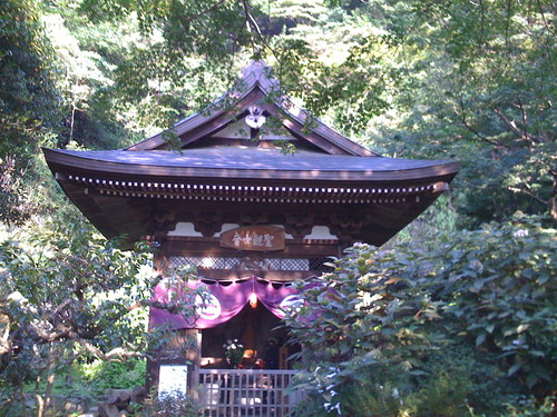 yuuki1006's profile picture. 