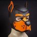 Shy rubpup 80 (@nerdrubr) Twitter profile photo Shy rubpup 80 (@nerdrubr) Twitter profile photo