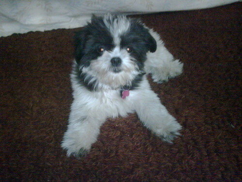 ho2lowbox's profile picture. 