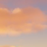 linnux's profile picture. 