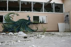 PecanPeacock's profile picture. Geek chic and gracefully goofy