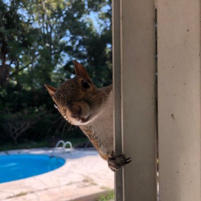 BethDhondt's profile picture. Life is Good