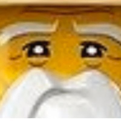 senseiwu18's profile picture. You can’t handle the true power of spinjitzu.