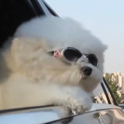 osushiidesushi's profile picture. 