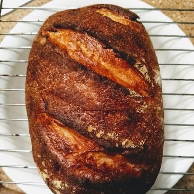 LarisaPalazzolo's profile picture. 