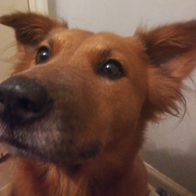 LauraManess4's profile picture. 