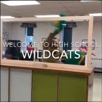 OHS Link Crew (@crewohs) 's Twitter Profile Photo OHS Link Crew (@crewohs) 's Twitter Profile Photo