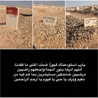 محمد الشمري (@m_nn1) 's Twitter Profile