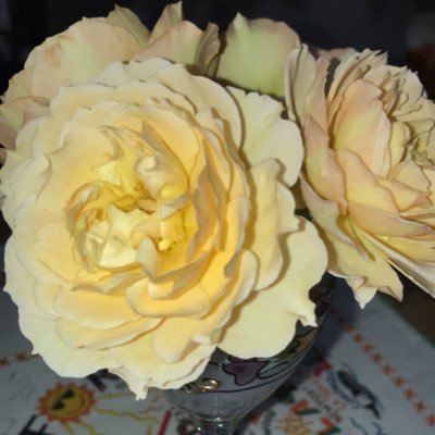 EIDv8PHeu4Efygy's profile picture. 