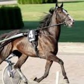 Spanarn031's profile picture. Uppfödd 031 området, Trav & USsports fantast. Hästägare 2004-2023. Uppfödare. Andelsspel med jämna mellanrum. V86 bästa liret