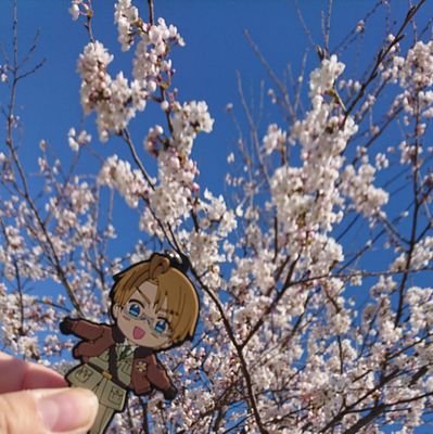 ことね ここは無法地帯です あの Dアニくんがヘタライ配信始めたから ヘタリア作品オールコンプリート最強配信サイトに成り代わりましたのだが そしてnwの大阪楽と東京大楽はここの配信のみです ええ 何事なん え