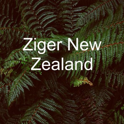 Founded Ziger NZ to embrace scepticism yet help demystify technology, to expose the architecture illusion. An IT version of Penn & Teller.