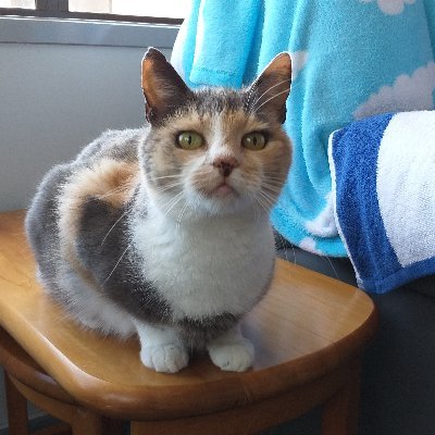 stunzl's profile picture. 