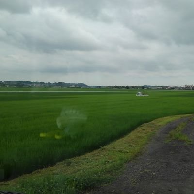 渓流師➡船釣り師➡海のボート釣り師を経て現在へら師です。
2019年5月より【びん沼】を主戦場にヘラブナ釣り修行中！！ヘラブナ釣りを始めて4年経ちました。
ヘラブナ釣りを主にYouTubeに動画を配信しています。
宜しければ見てみてください。