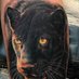 Lobo Solitario original (@lobosol30641324) Twitter profile photo Lobo Solitario original (@lobosol30641324) Twitter profile photo