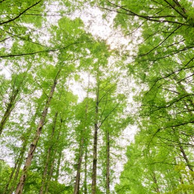 とあるスタジオに入っている人。デジタル動画(クリスタ)、線撮、本撮、特効、2D素材(貼り込み素材など)作成。ハーモニー処理。DMにてご依頼ください。こちらは副業になるので、土日作業がメインになりますので、週末にご相談して頂くと受けやすいです。