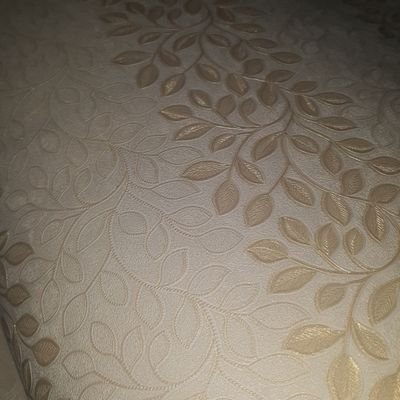 lO98NoTLA2VEuKq's profile picture. 