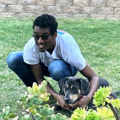 RohinSampeur's profile picture. 