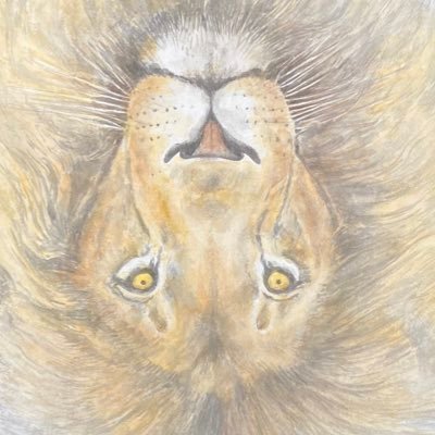 Zayonce8's profile picture. プログラミング勉強中です!! 無言フォロー失礼します!!