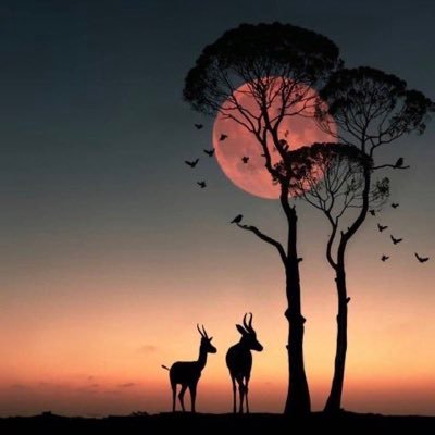 271_monmon's profile picture. ولدت في تشرين الأول ولم اخرج من خريفي حتى الآن ✨🎶