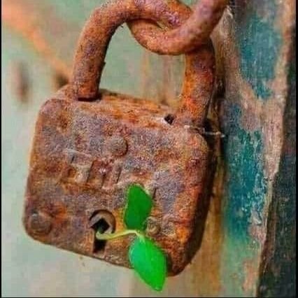 M9udJiei9upcg4n's profile picture. احب الخير للجميع على مختلف انتمائهم وديانتهم وقوميتهم ولا فرق عندي بين ابيض واسود وشكرا