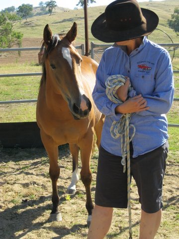Lover of life, author @AllenAndUnwin, farmer's wife
 and enjoying every minute! 
My views are my own, and are fairly spectacular on a sunny day.