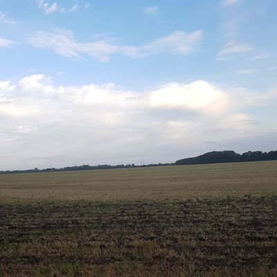 Farmer.  UK. Helping Coach Cambridgeshire Colts Rugby