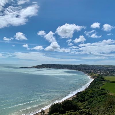 PricklyHog's profile picture. Wild Hedgehog dinner lady 🦔🐾💙- (Retweet do not imply endorsement).