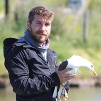 Manrico Sebastiano (@wild_smanne) 's Twitter Profile Photo Manrico Sebastiano (@wild_smanne) 's Twitter Profile Photo