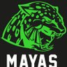 MayasTeam's profile picture. Mexican National CTF Team