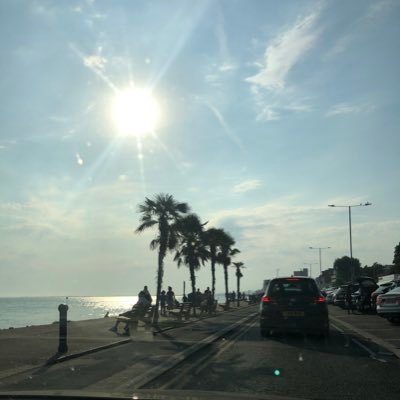 radumaa2's profile picture. 