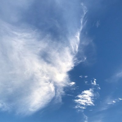 NWJpCrc7vzEia9w's profile picture. のんびりゆるゆる